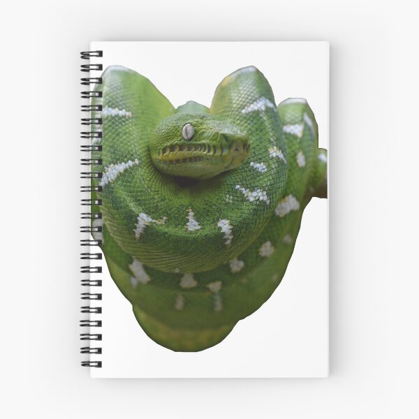 Item preview, Emerald Tree Boa designed and sold by hayleyu.