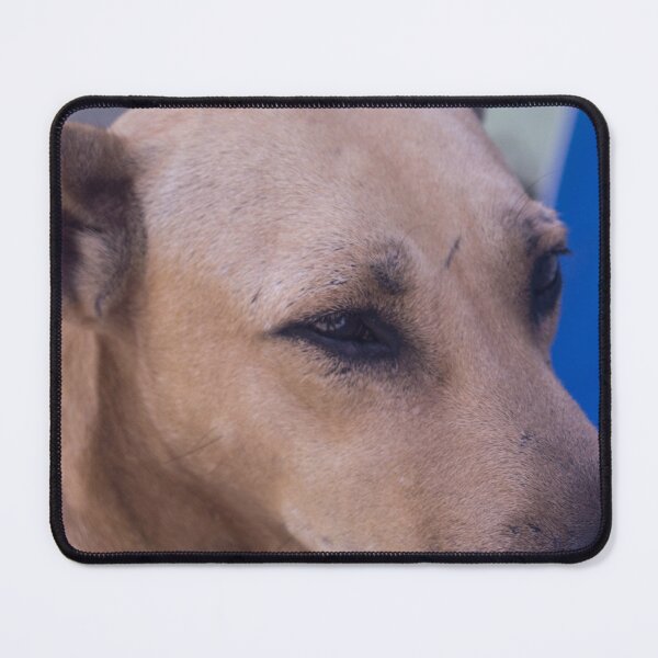Item preview, Ridgeback designed and sold by ROSE ANN BANILAR.