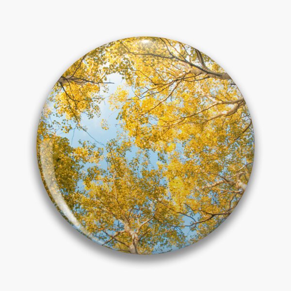 Item preview, Golden Canopy: Looking Up Through Autumn Birches designed and sold by ISOandInk.
