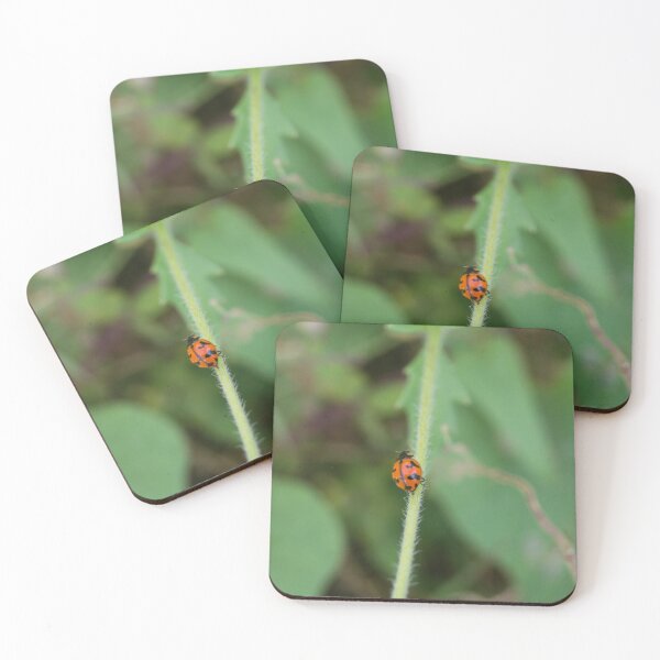 Item preview, Ladybird Beetle  designed and sold by ROSE ANN BANILAR.