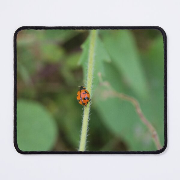 Item preview, Ladybird Beetle  designed and sold by ROSE ANN BANILAR.
