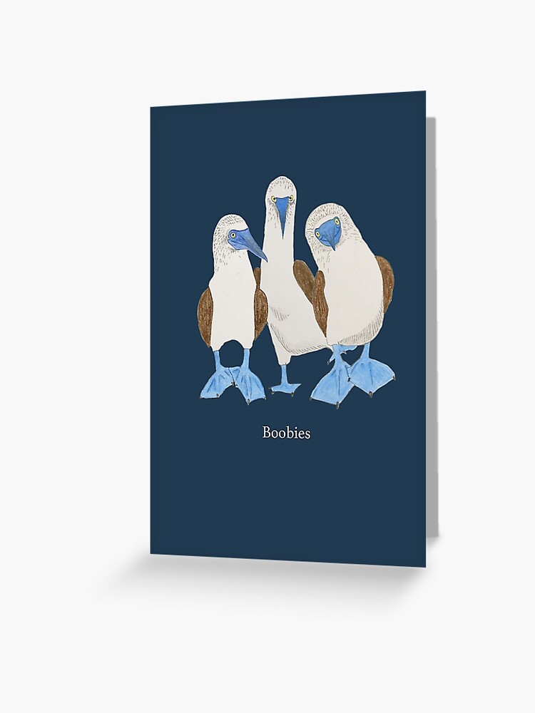 All kinds of Boobies, birds Poster for Sale by KyaKnightDesign