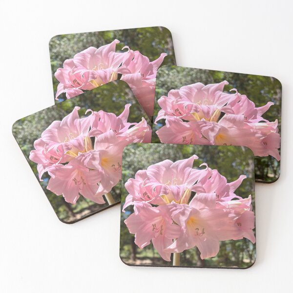 Item preview, Soft Pink Begonia Flowers Blooming in Garden designed and sold by Be Captured by Brittany Emma.