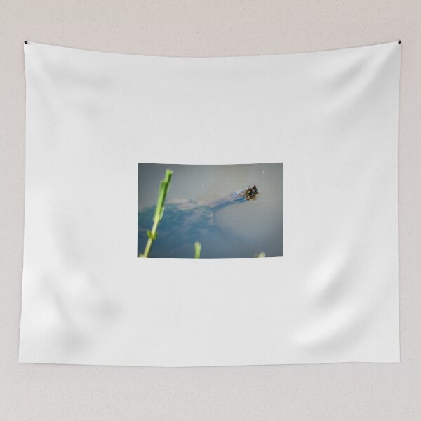 Item preview, Turtle in the Water  designed and sold by D-GaP.
