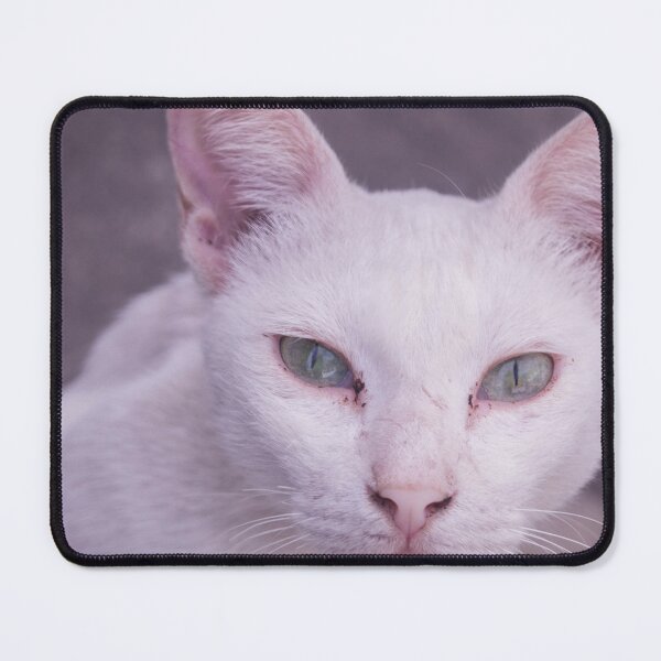 Item preview, Diamond Eye cat designed and sold by ROSE ANN BANILAR.
