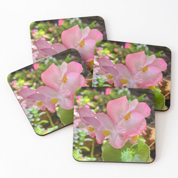 Item preview, Soft Pink Begonia Flowers Blooming in Garden designed and sold by Be Captured by Brittany Emma.