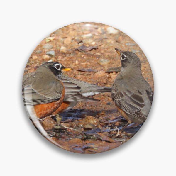 Item preview, Robins designed and sold by Parks and X.