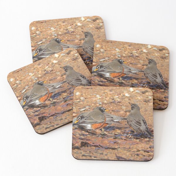 Item preview, Robins designed and sold by Parks and X.