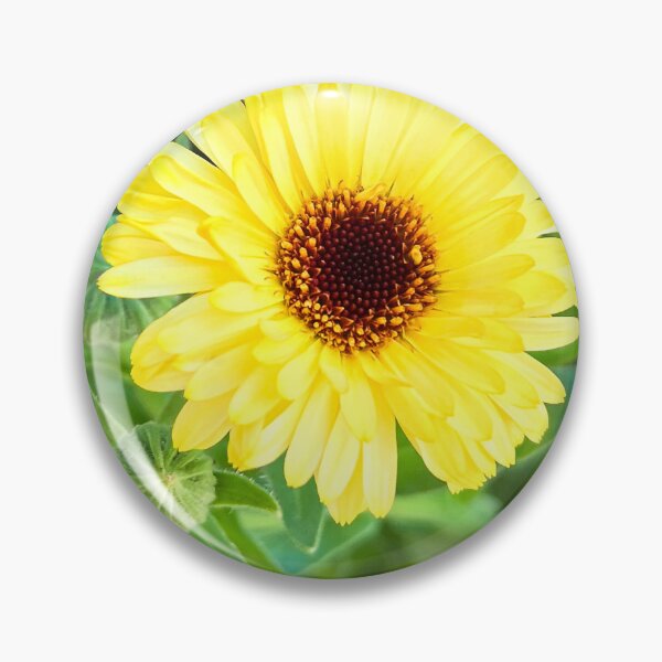 Item preview, Bright Yellow Calendula Flower Blooming in Garden designed and sold by Be Captured by Brittany Emma.