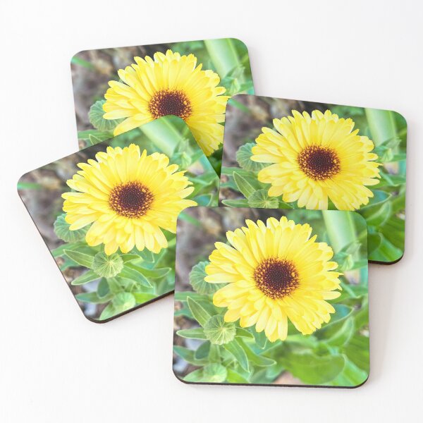 Item preview, Bright Yellow Calendula Flower Blooming in Garden designed and sold by Be Captured by Brittany Emma.