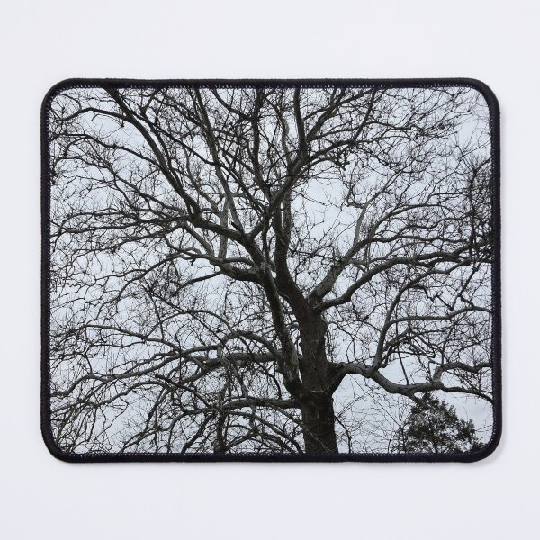 Item preview, Winter Tree designed and sold by Amanda1775.
