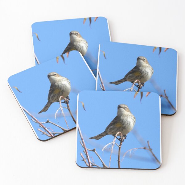 Item preview, Warbler designed and sold by Parks and X.