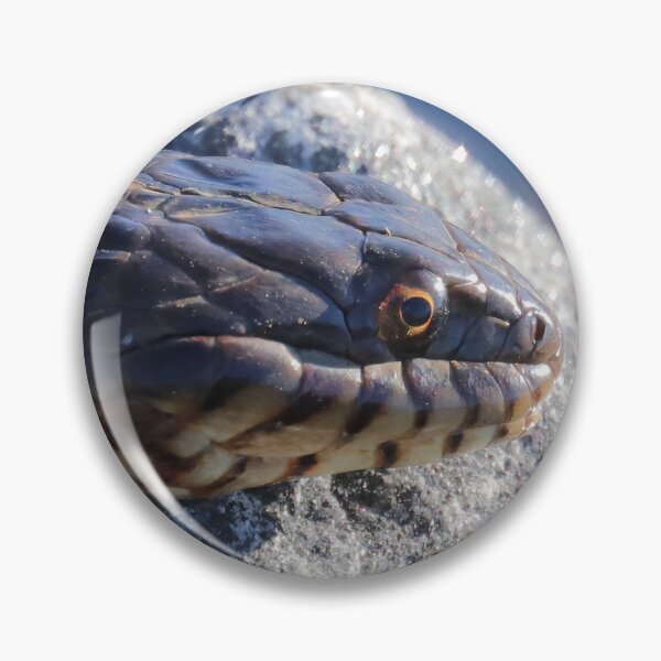 Item preview, Water snake designed and sold by Parks and X.
