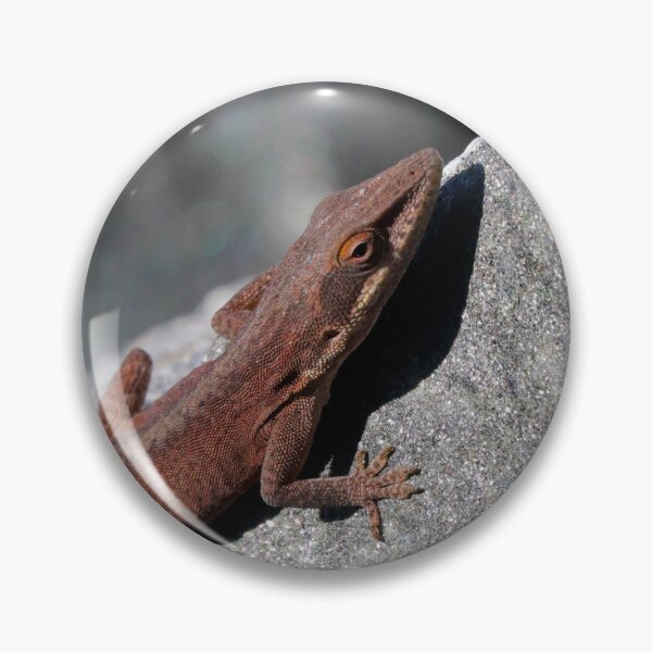 Item preview, Anole  designed and sold by Parks and X.