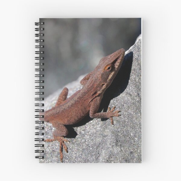 Item preview, Anole  designed and sold by Parks and X.