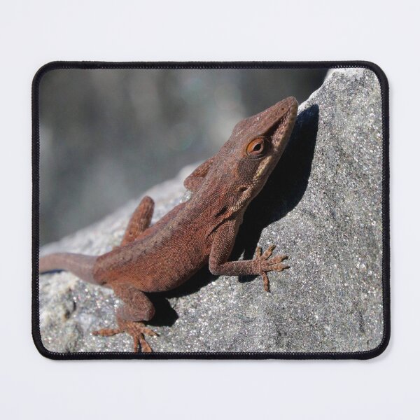 Item preview, Anole  designed and sold by Parks and X.