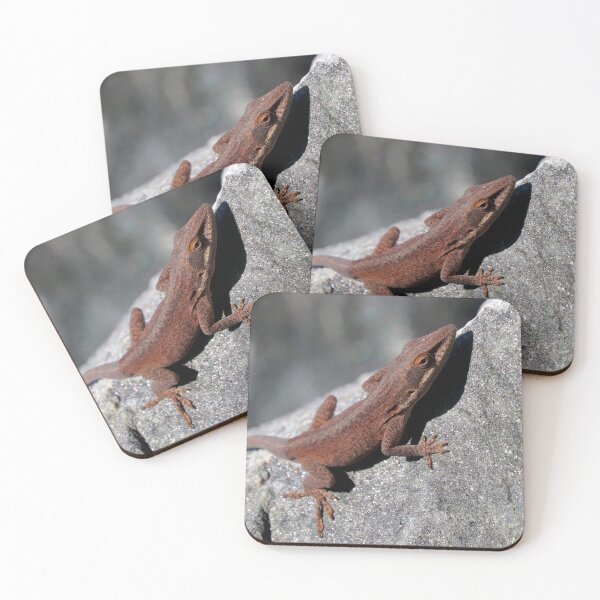 Item preview, Anole  designed and sold by Parks and X.