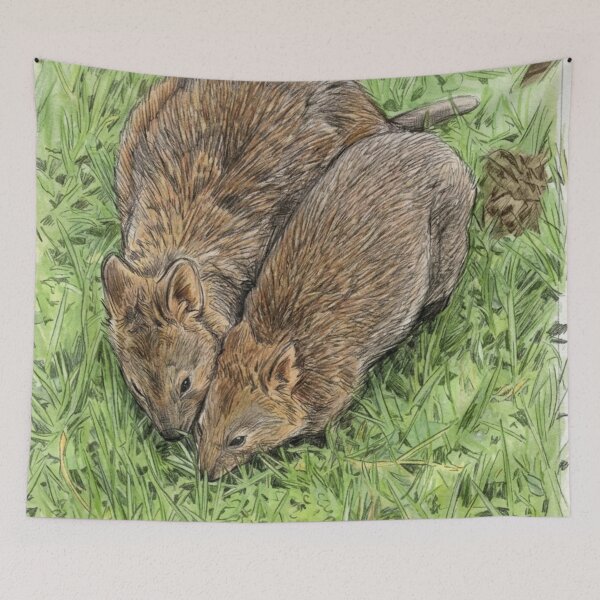 Item preview, Two Quokkas designed and sold by Juzzy72.