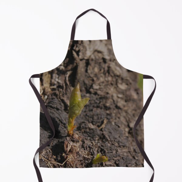 Item preview, Tender Green Shoot Sprouts from Rough Ancient Tree Bark - Macro designed and sold by vikko-art.