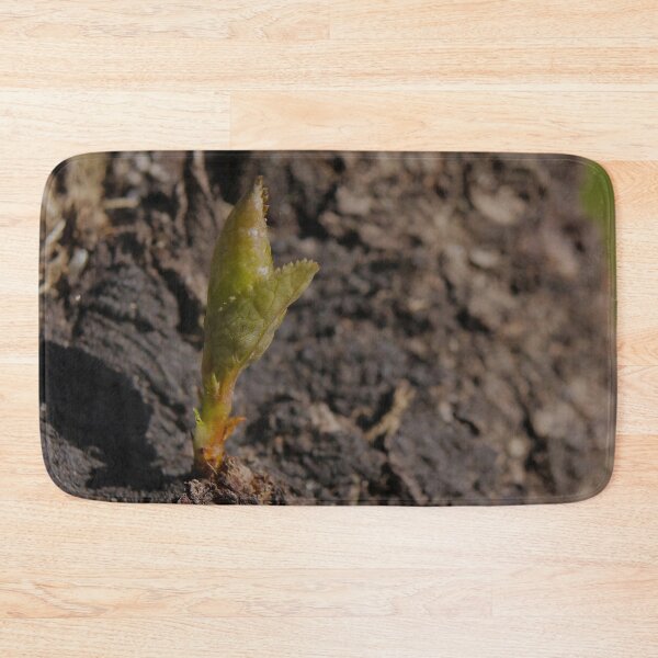 Item preview, Tender Green Shoot Sprouts from Rough Ancient Tree Bark - Macro designed and sold by vikko-art.