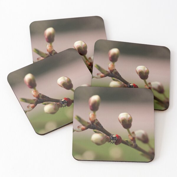 Item preview, Hidden Ladybug Among Moody Spring Fruit Buds Macro designed and sold by vikko-art.