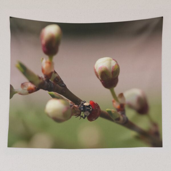 Item preview, Hidden Ladybug Among Moody Spring Fruit Buds Macro designed and sold by vikko-art.