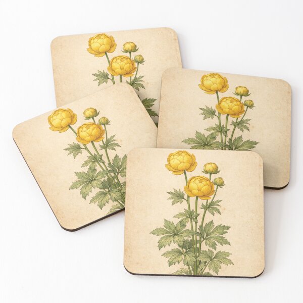 Item preview, Vintage Globeflower Botanical Illustration - Trollius Europaeus Antique Botanical Print designed and sold by Darlin8888.