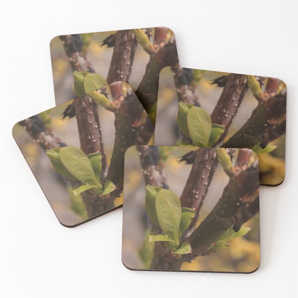 Item preview, Delicate Emerging Fruit Tree Buds Macro - Spring Awakening designed and sold by vikko-art.