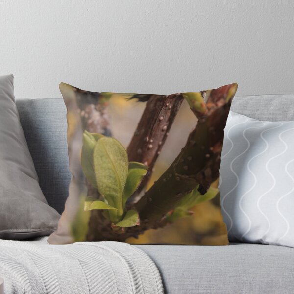 Item preview, Delicate Emerging Fruit Tree Buds Macro - Spring Awakening designed and sold by vikko-art.