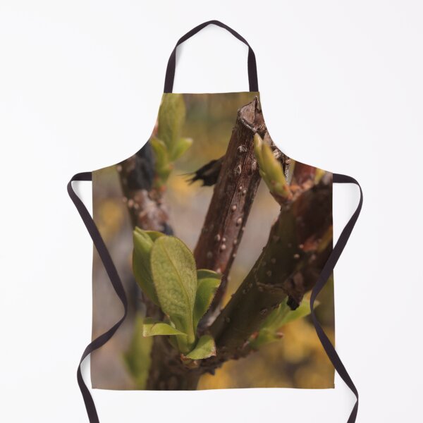 Item preview, Delicate Emerging Fruit Tree Buds Macro - Spring Awakening designed and sold by vikko-art.