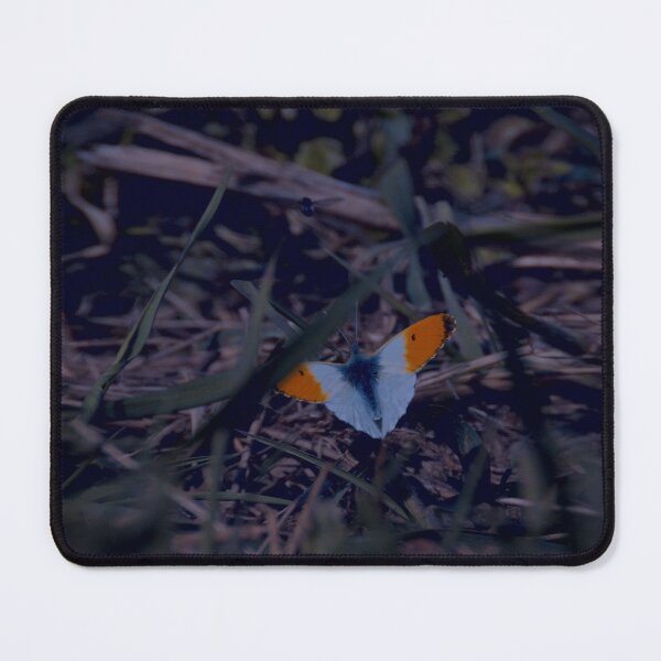 Item preview, Frozen reality - Beautiful nature 575 designed and sold by deep-sea-birds.