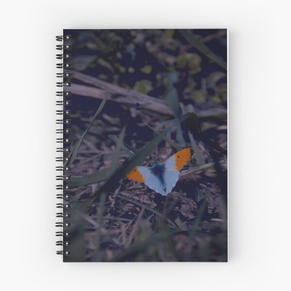 Item preview, Frozen reality - Beautiful nature 575 designed and sold by deep-sea-birds.