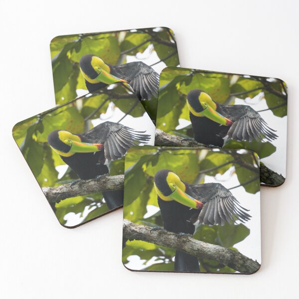 Item preview, Rainbow Bill – Keel-Billed Toucan Preening on Branch, Costa Rica Wildlife Photography designed and sold by WildFrameNature.