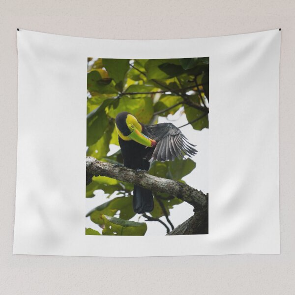 Item preview, Rainbow Bill – Keel-Billed Toucan Preening on Branch, Costa Rica Wildlife Photography designed and sold by WildFrameNature.