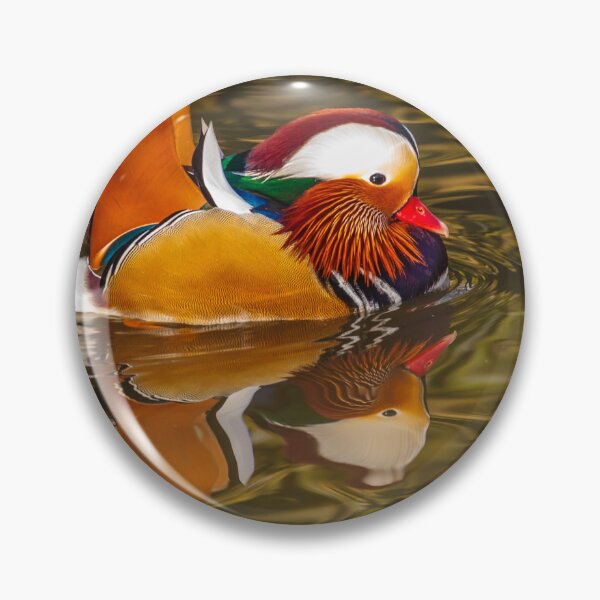 Item preview, Mandarin Duck designed and sold by Dalyndigital Photography.