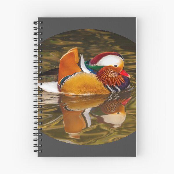 Item preview, Mandarin Duck designed and sold by Dalyndigital Photography.