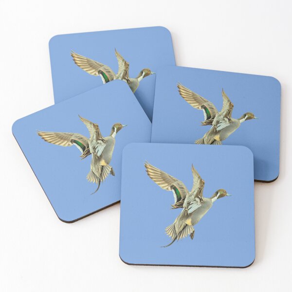 Item preview, Jumping  Pintail drake designed and sold by Dalyndigital Photography.