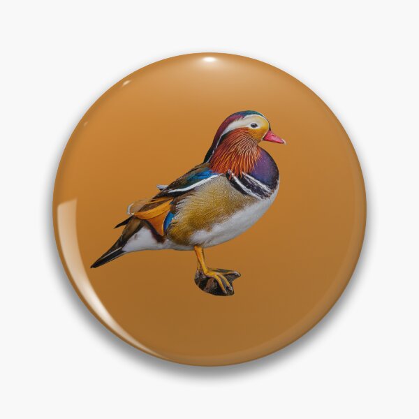 Item preview, Mandarin Duck designed and sold by Dalyndigital Photography.