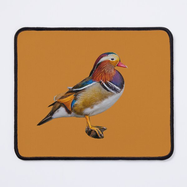 Item preview, Mandarin Duck designed and sold by Dalyndigital Photography.