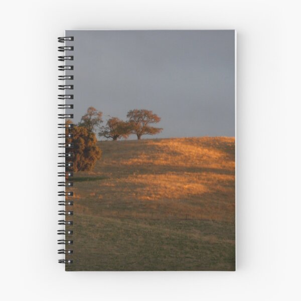 Item preview, Winter Afternoon near Sharp's Creek, Adelong, Australia. designed and sold by kaysharp.