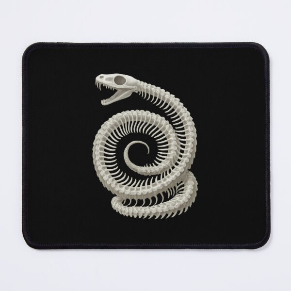 Item preview, Coiled Snake Skeleton Macabre Anatomy designed and sold by afnqfoapdg63.