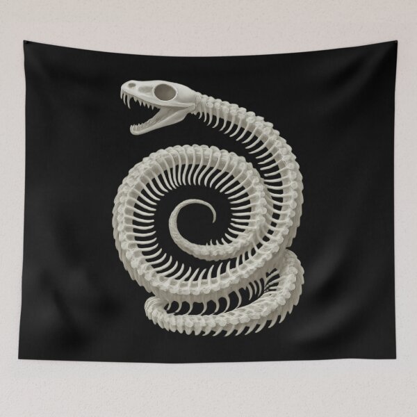 Item preview, Coiled Snake Skeleton Macabre Anatomy designed and sold by afnqfoapdg63.