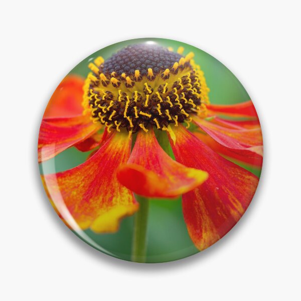 Item preview, Helenium flower designed and sold by Stephen Jarman.