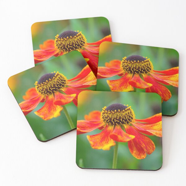 Item preview, Helenium flower designed and sold by Stephen Jarman.