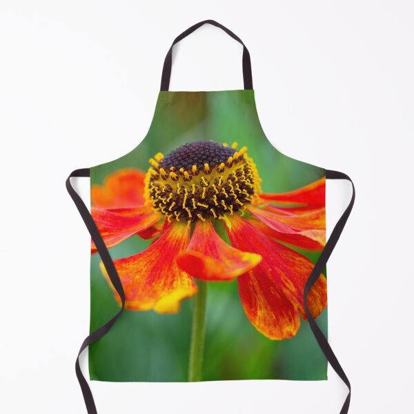 Item preview, Helenium flower designed and sold by Stephen Jarman.