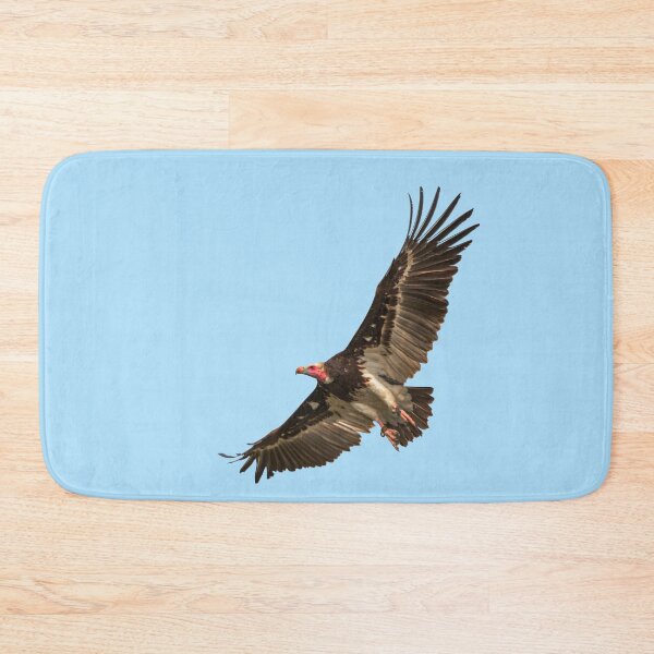 Item preview, White-faced Vulture in flight designed and sold by Dalyndigital Photography.