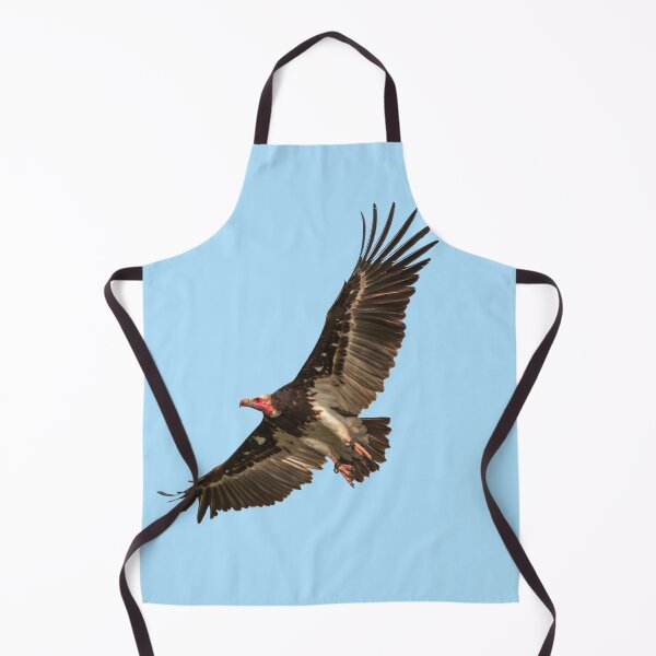 Item preview, White-faced Vulture in flight designed and sold by Dalyndigital Photography.