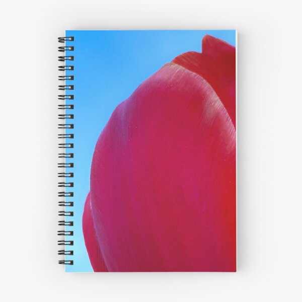 Artikelvorschau, Scarlet Curve: Minimalistische Tulpenabstraktion entworfen und verkauft von ISOandInk.