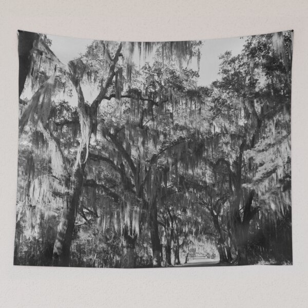 Item preview, Summerville, South Carolina, with heavy hanging Spanish moss along country road vintage black and white photograph poster art print designed and sold by Astrid Arkhangelsky.