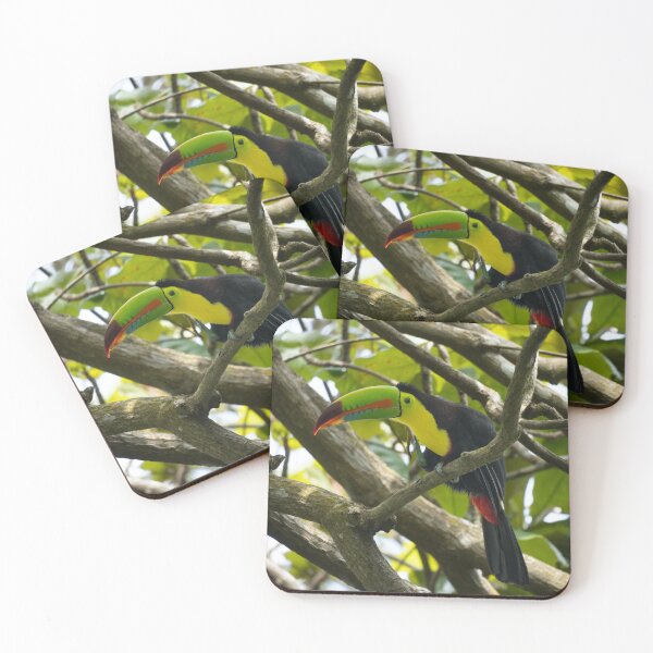 Item preview, Jungle Jewel – Keel-Billed Toucan Perched in Tropical Tree, Costa Rica Wildlife Photography designed and sold by WildFrameNature.